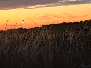 stallplats Söker stall i Ystad - Annons 22