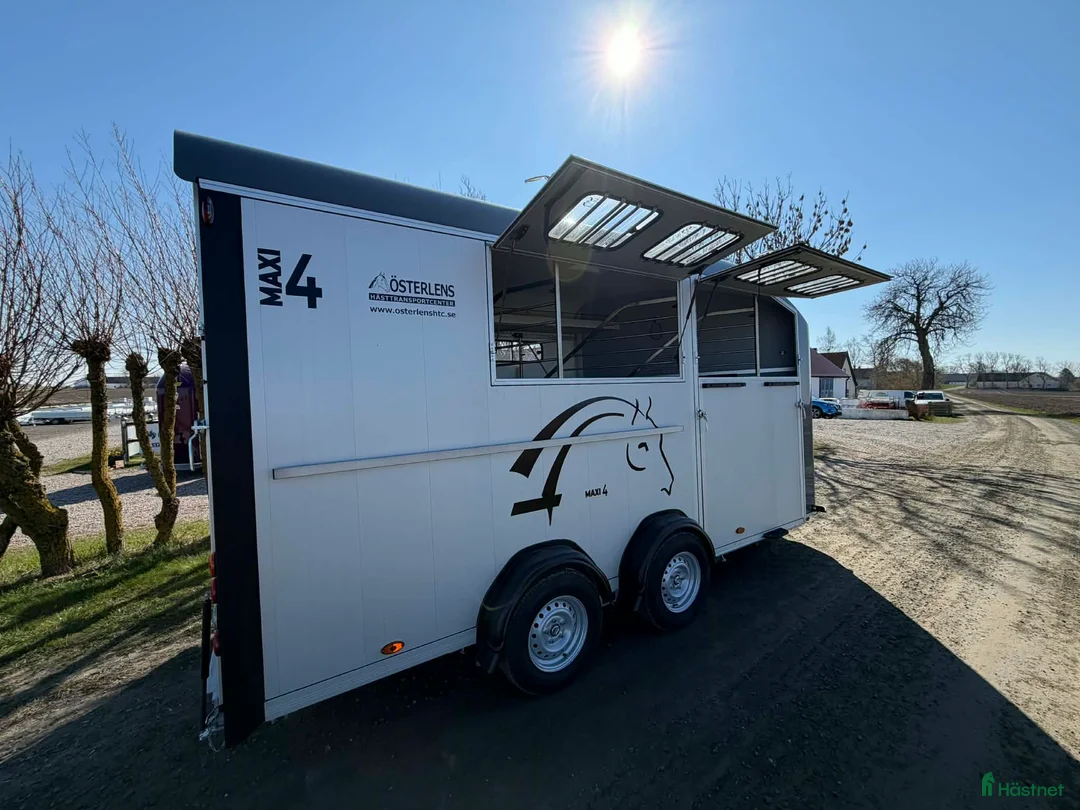 Hästtransporter  fordon & transport till salu: Maxi 4 - Diagonal åkning för 4 hästar - Annons 2