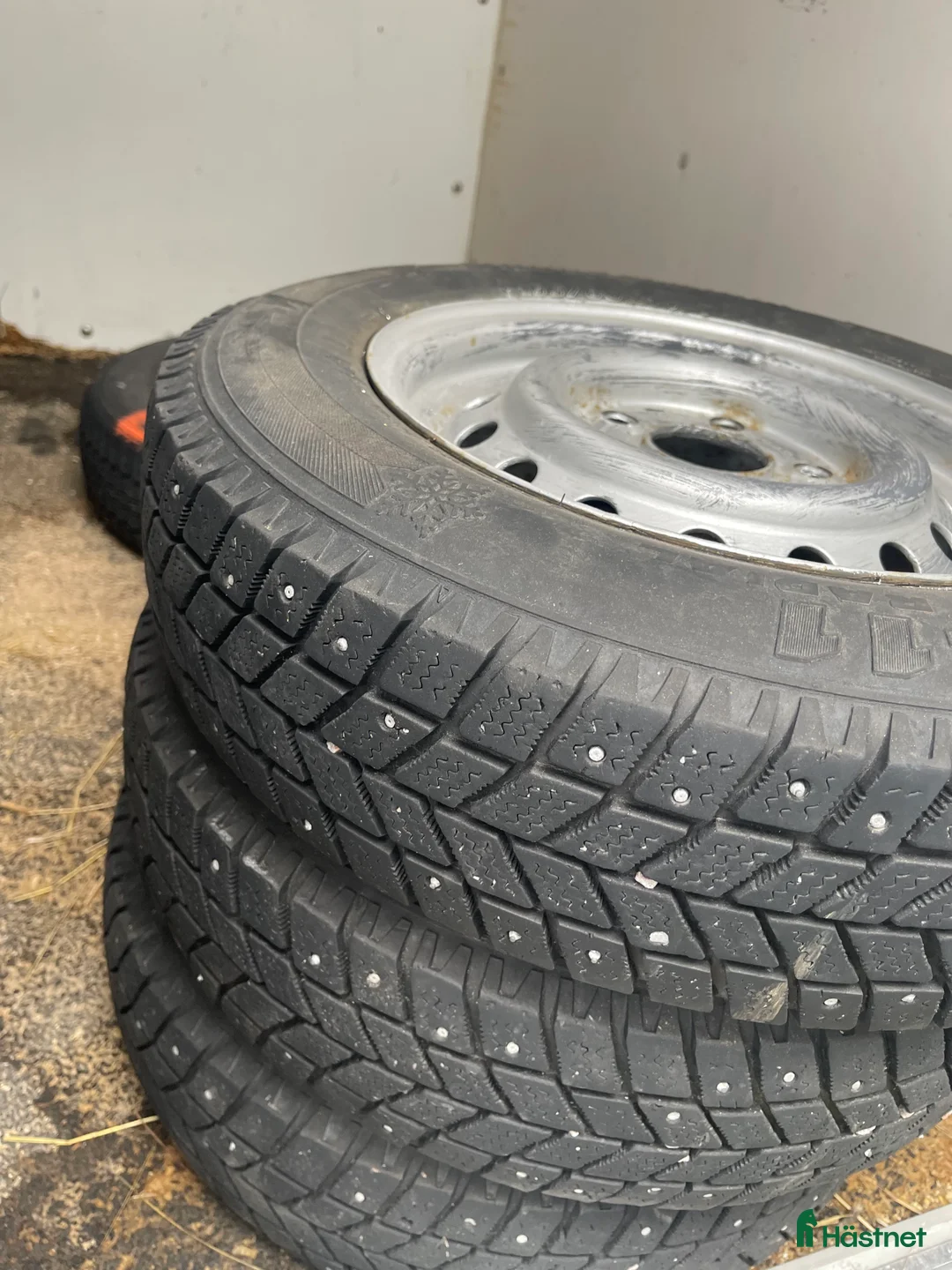 Hästtransporter  fordon & transport till salu: BOJ BRAVO SE - Annons 8