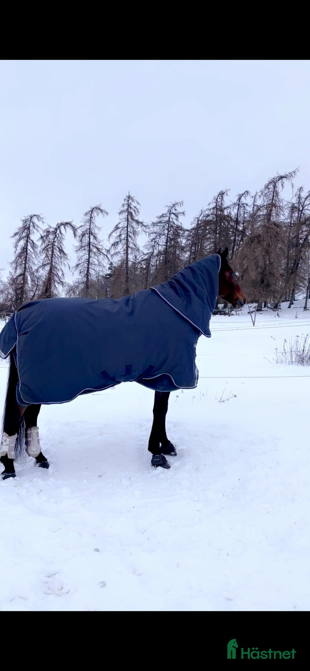 Täcken hästutrustning till salu:  vintertäcke inkl hals  - Annons 1
