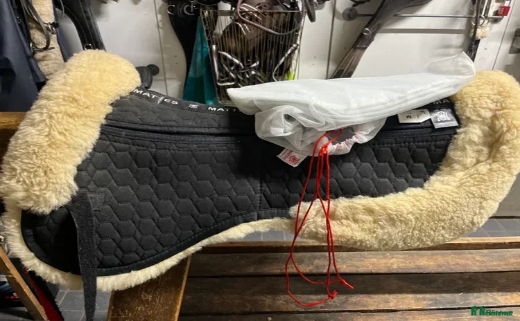 Sadeltillbehör hästutrustning till salu i Älvkarleby - Annons 13