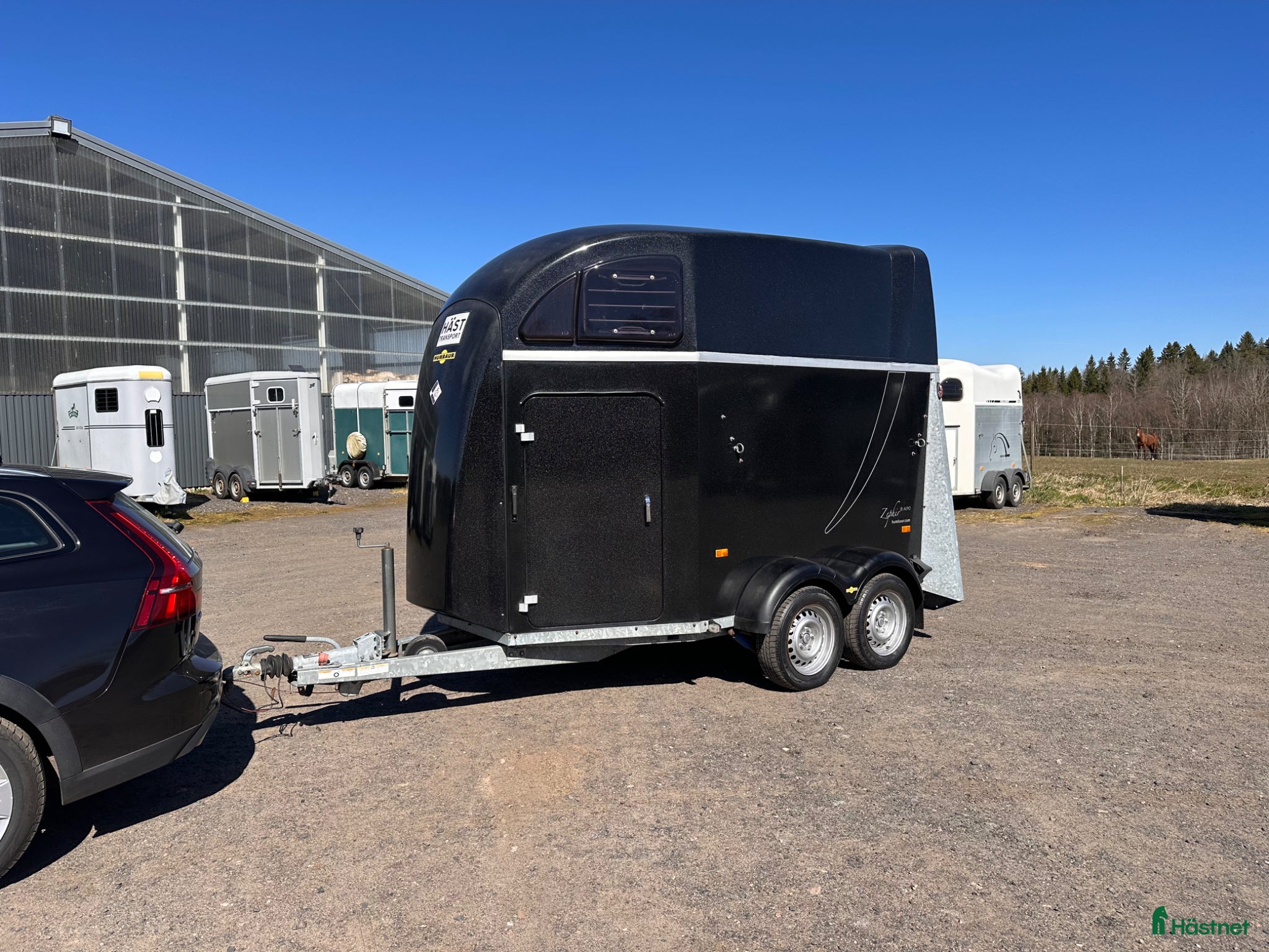 Hästtransporter  fordon & transport till salu: Hästtransport till salu- Humbaur Zephir Aero - Annons 5