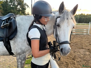 foderhäst Söker fodervärd ponny/häst i Jönköping - Annons 23