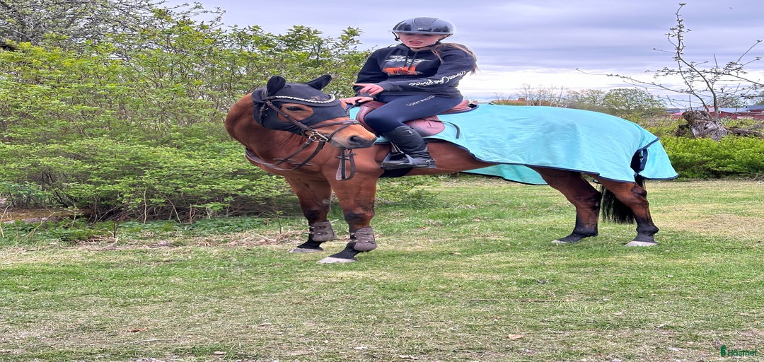 Galleribild {{count}}