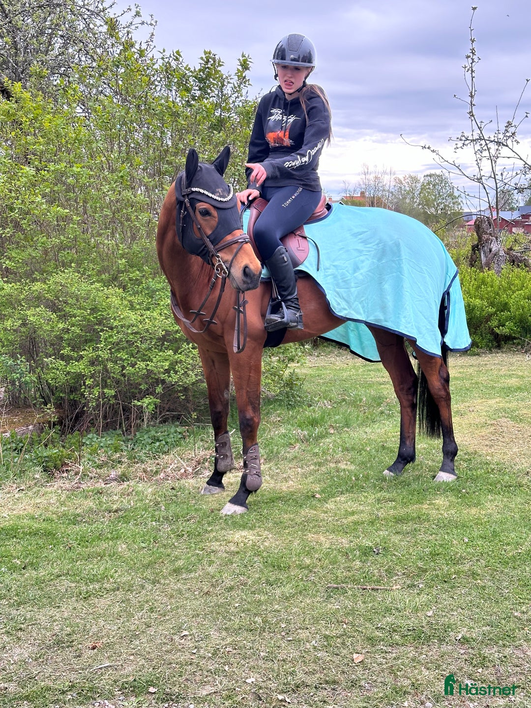 Galleribild {{count}}