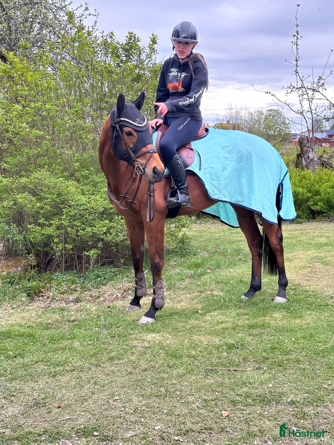 Galleribild {{count}}