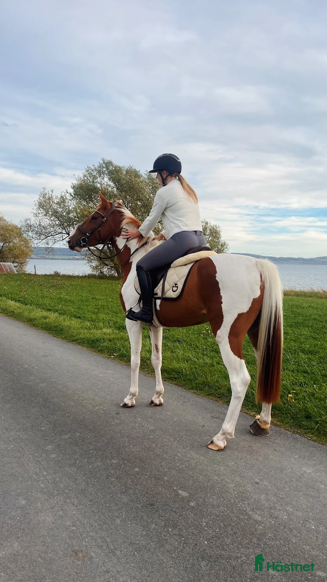 Galleribild {{count}}