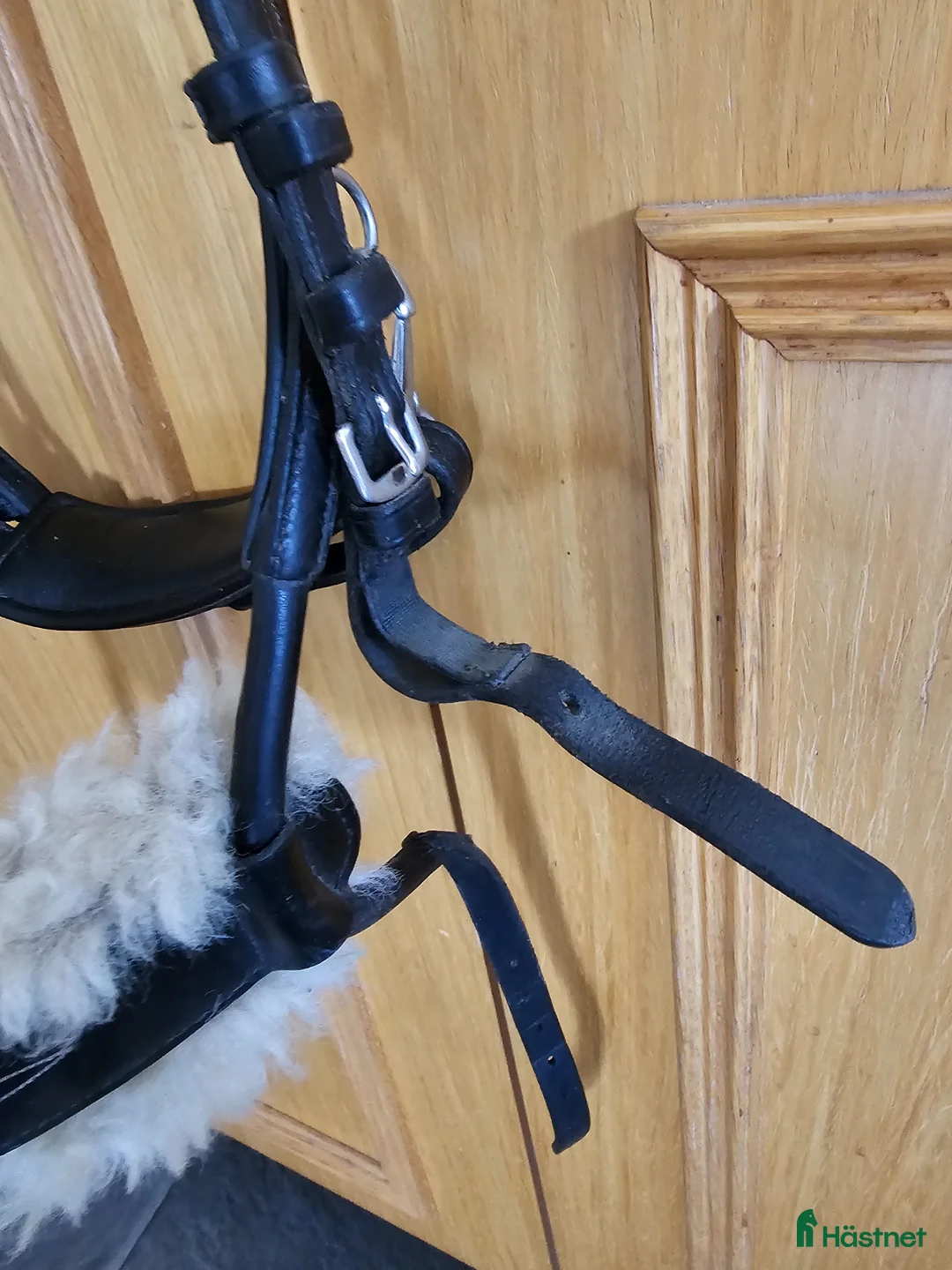 Träns hästutrustning till salu: Ps of sweden high jump träns - Annons 2