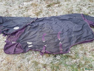 Täcken hästutrustning till salu: WeatherBeeta Täckes Set med hals, hög kvalité i Strömstad - Annons 1