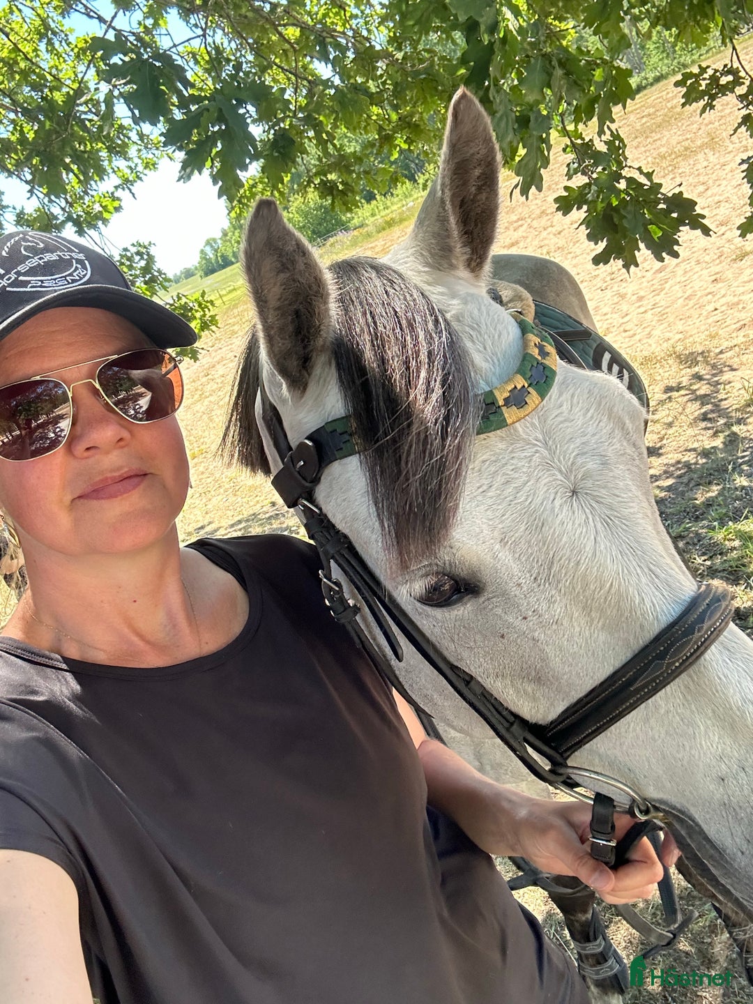 Galleribild {{count}}