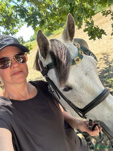 Galleribild {{count}}