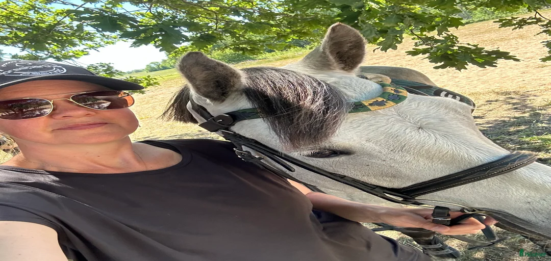 Galleribild {{count}}