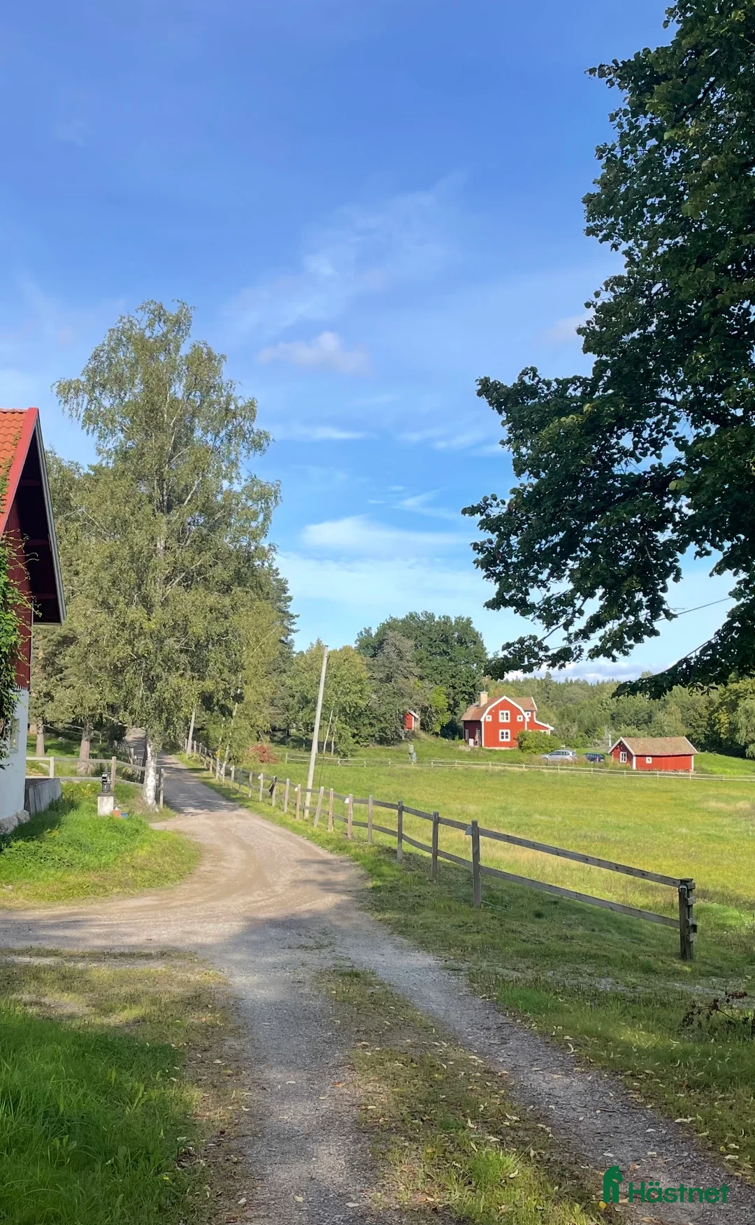  stallplats finnes: Boende (ev verksamhet) på idyllisk hästgård i Södertälje - Annons 3