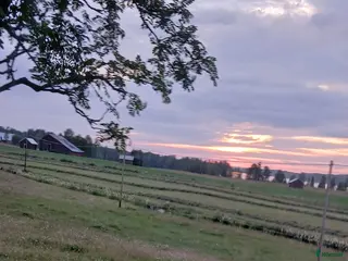 hästar Söker min allra bästa vän (kallblod) - Annons 21