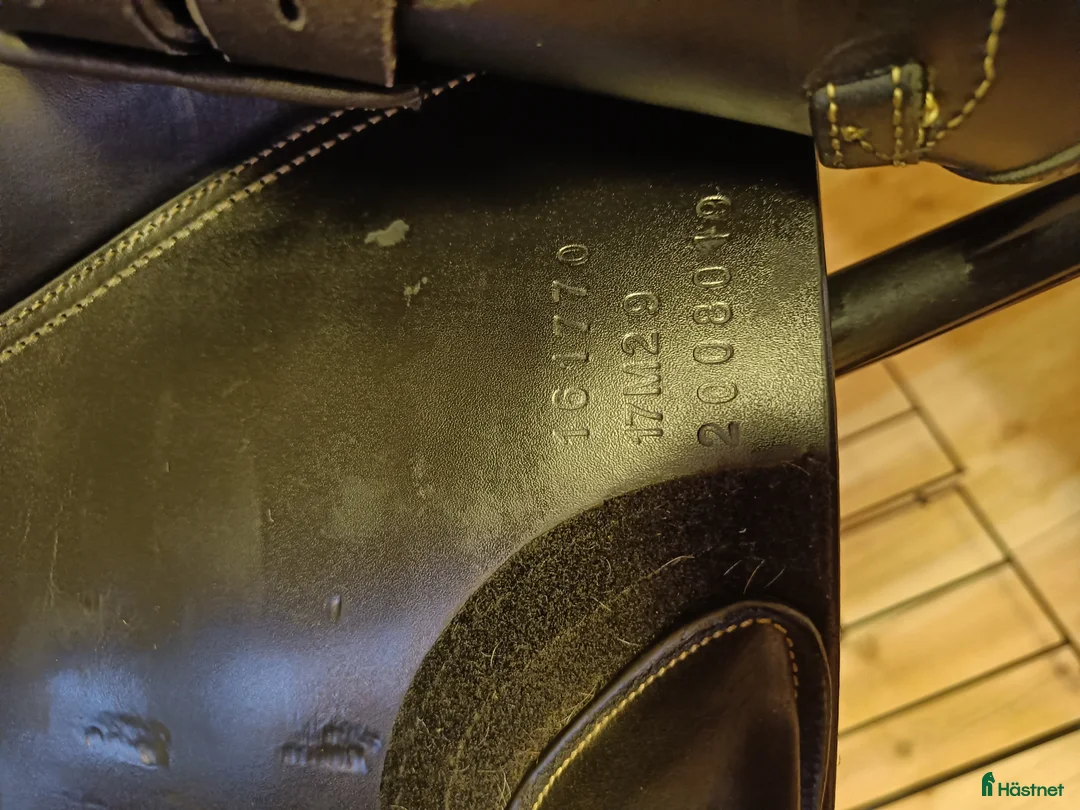 Sadlar hästutrustning till salu: Lippo Allegria super  i Bullaren - Annons 3