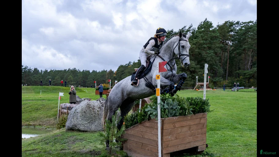 Galleribild {{count}}