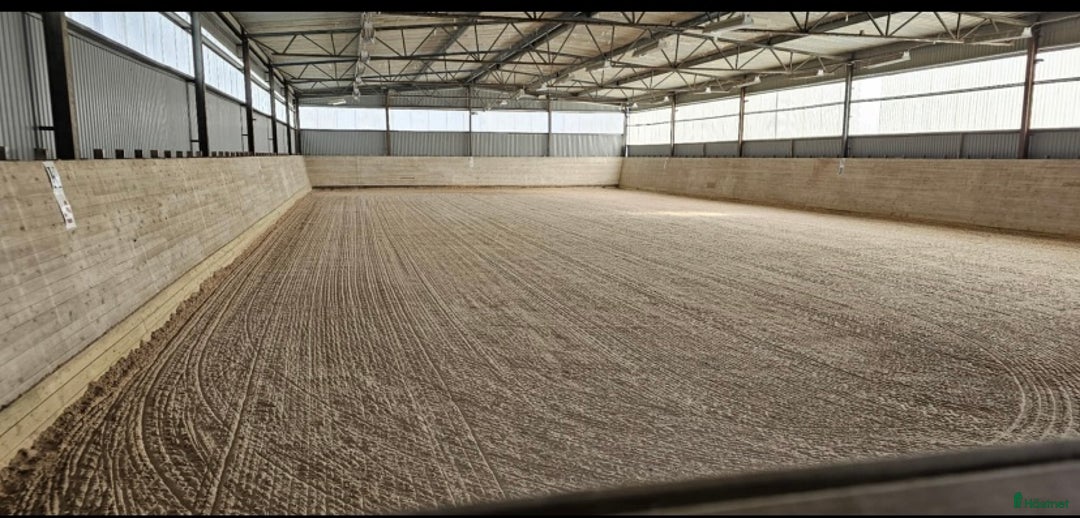  stallplats finnes: Lediga boxar i kollektivstall i Trollhättan - Annons 2