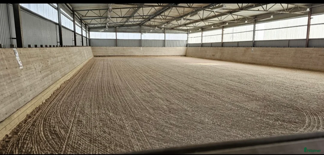  stallplats finnes: Ledig box i kollektivstall i Trollhättan - Annons 2