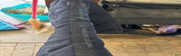 Schabrak & Vojlockar hästutrustning till salu: Super fint schabrak  - Annons 2