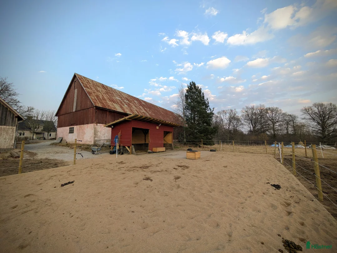 Övrigt hästar sökes: Snäll ponny sökes för sommaren i Urshult - Annons 2