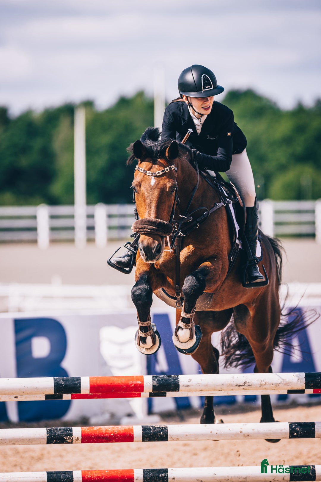 Allround hästar till salu: En riktig bästavän söker nytt kärleksfullt hem! i Strängnäs - Annons 2