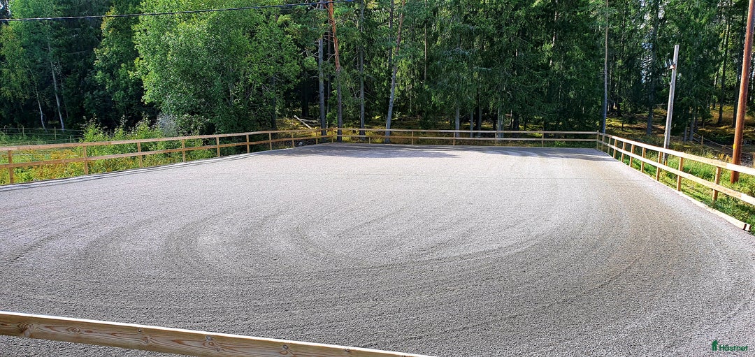  stallplats finnes: Lediga Stallplatser Almunge, Uppsala i Almunge - Annons 2