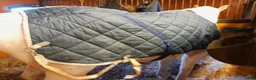 Täcken hästutrustning till salu: 110 cm show-stalltäcke - Annons 4