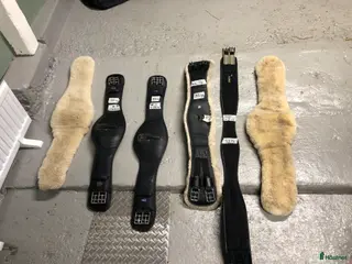 Sadeltillbehör hästutrustning till salu: Dressyr gjordar Långa - Annons 2