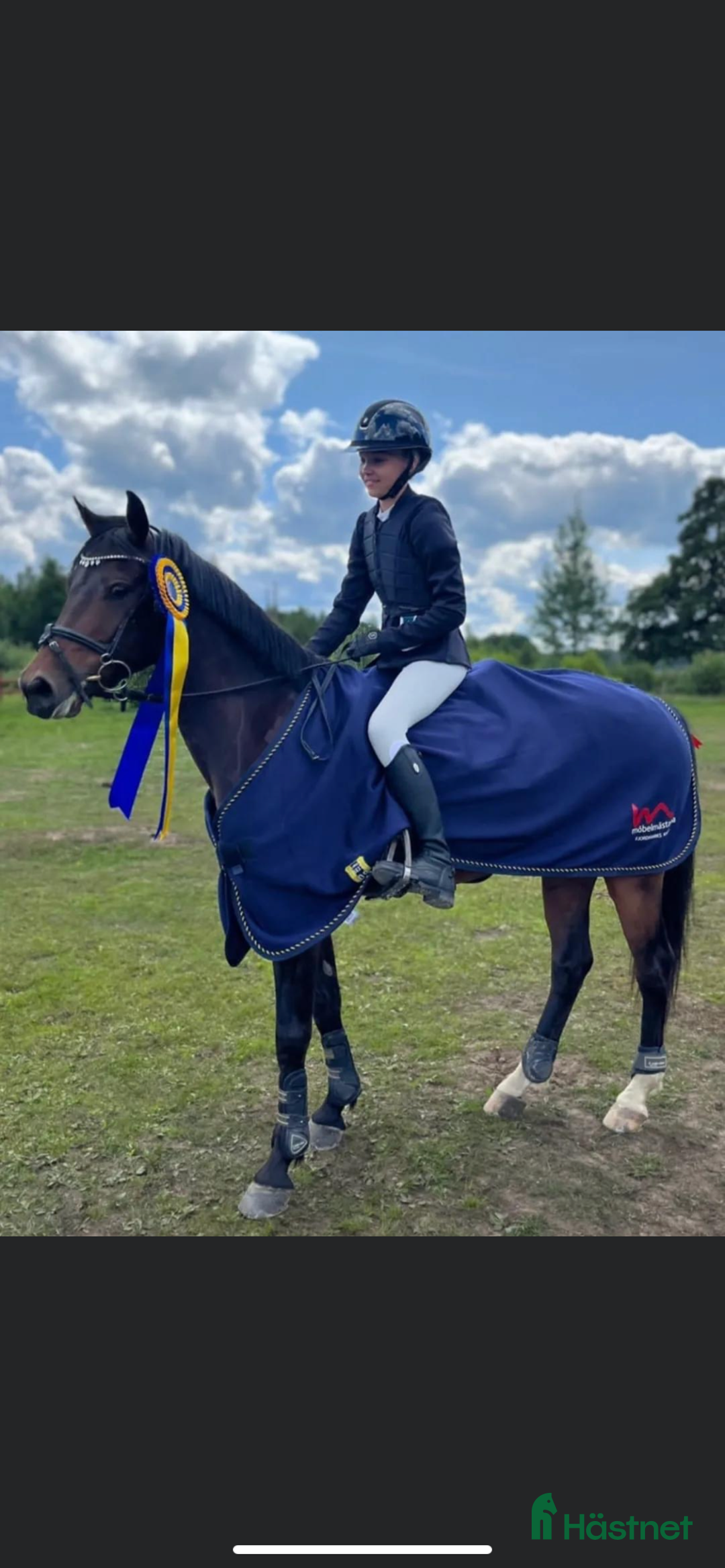 Hoppning hästar till salu: C-Ponny  i Hallstahammar - Annons 2