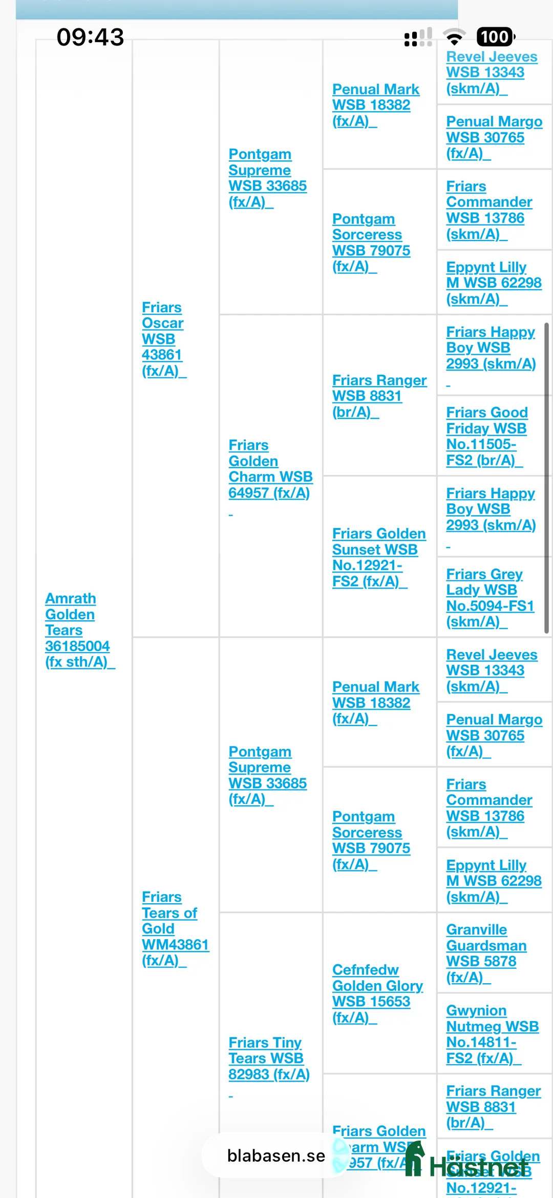 Allround hästar till salu: Sockersött Welsh Mountain sto  - Annons 9