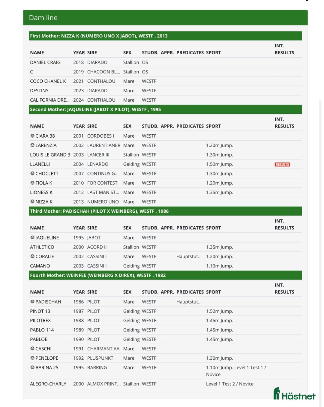Avelshästar hästar till salu: Toppstammad, superatlet för avel i Tystberga - Annons 3