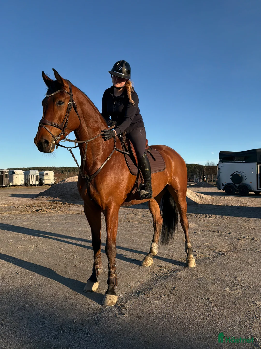 Fälttävlan hästar till salu: Vakker 5års med WOW faktor!! - Annons 1