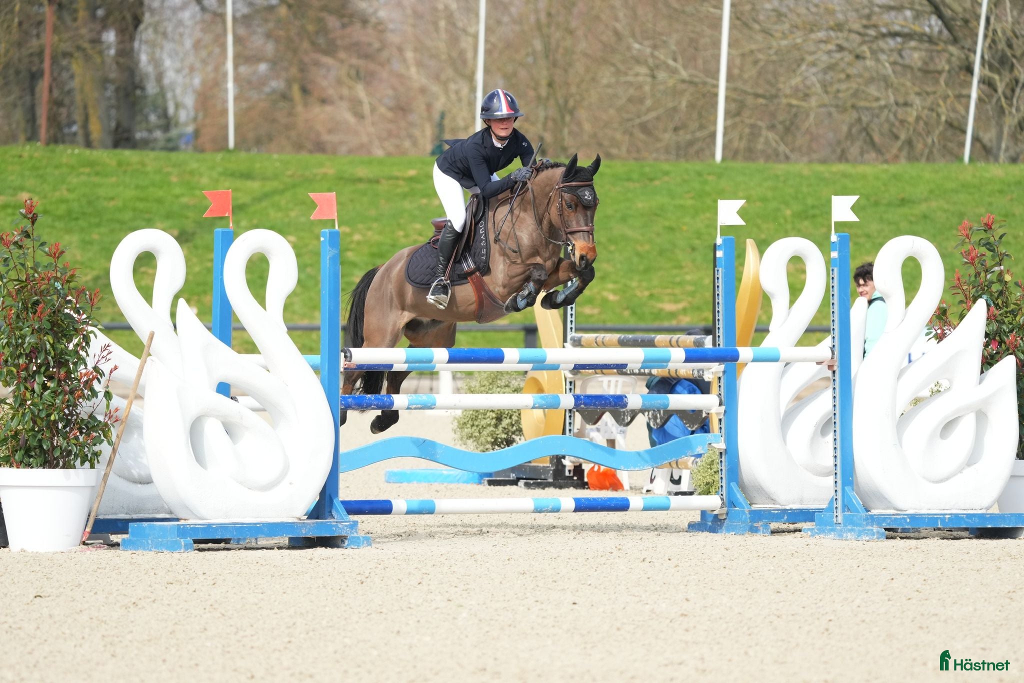  hästar Jumping pony - Annons 9