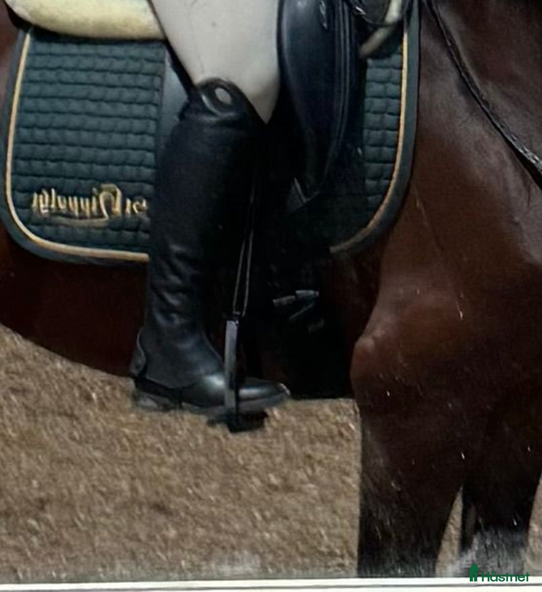 Ridstövlar ryttarutrustning till salu: Parlanti Passion minichaps, kom med bud! i Helsingborg - Annons 2