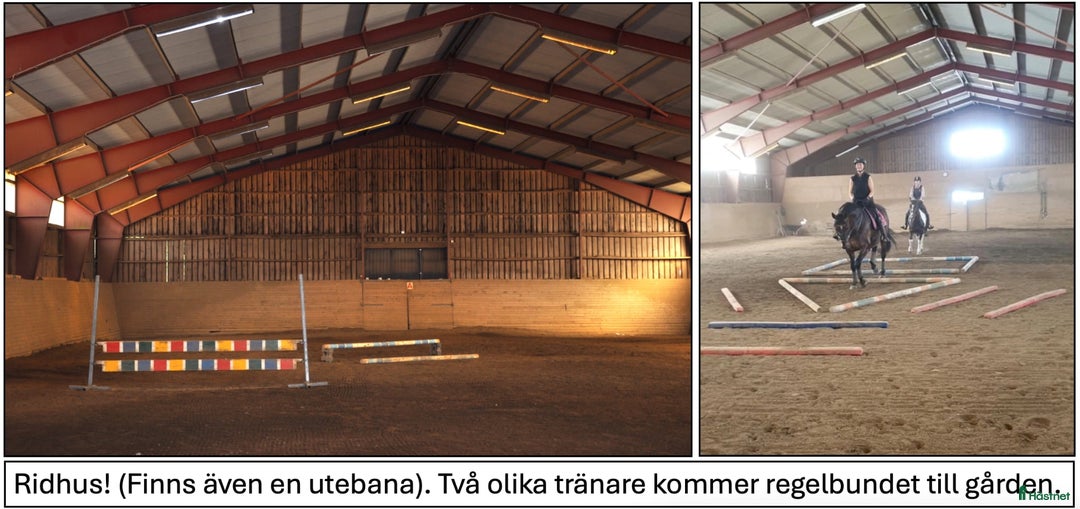  stallplats finnes: Lediga stallplatser i Skövde - Annons 3