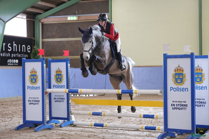 hästjobb i Vedum - Annons 20