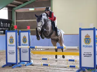 hästjobb Träning av häst/ponny - Annons 9