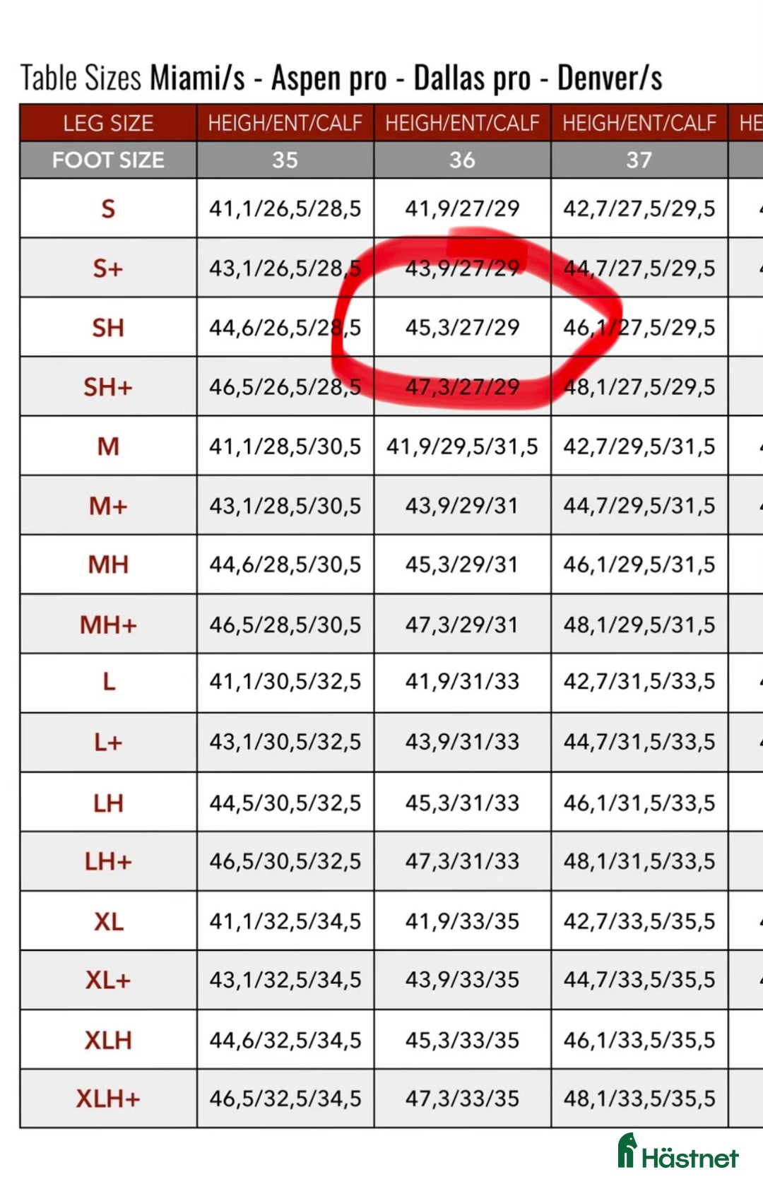 Ridstövlar ryttarutrustning till salu: Parlanti passion Miami  i Hammarstrand - Annons 3