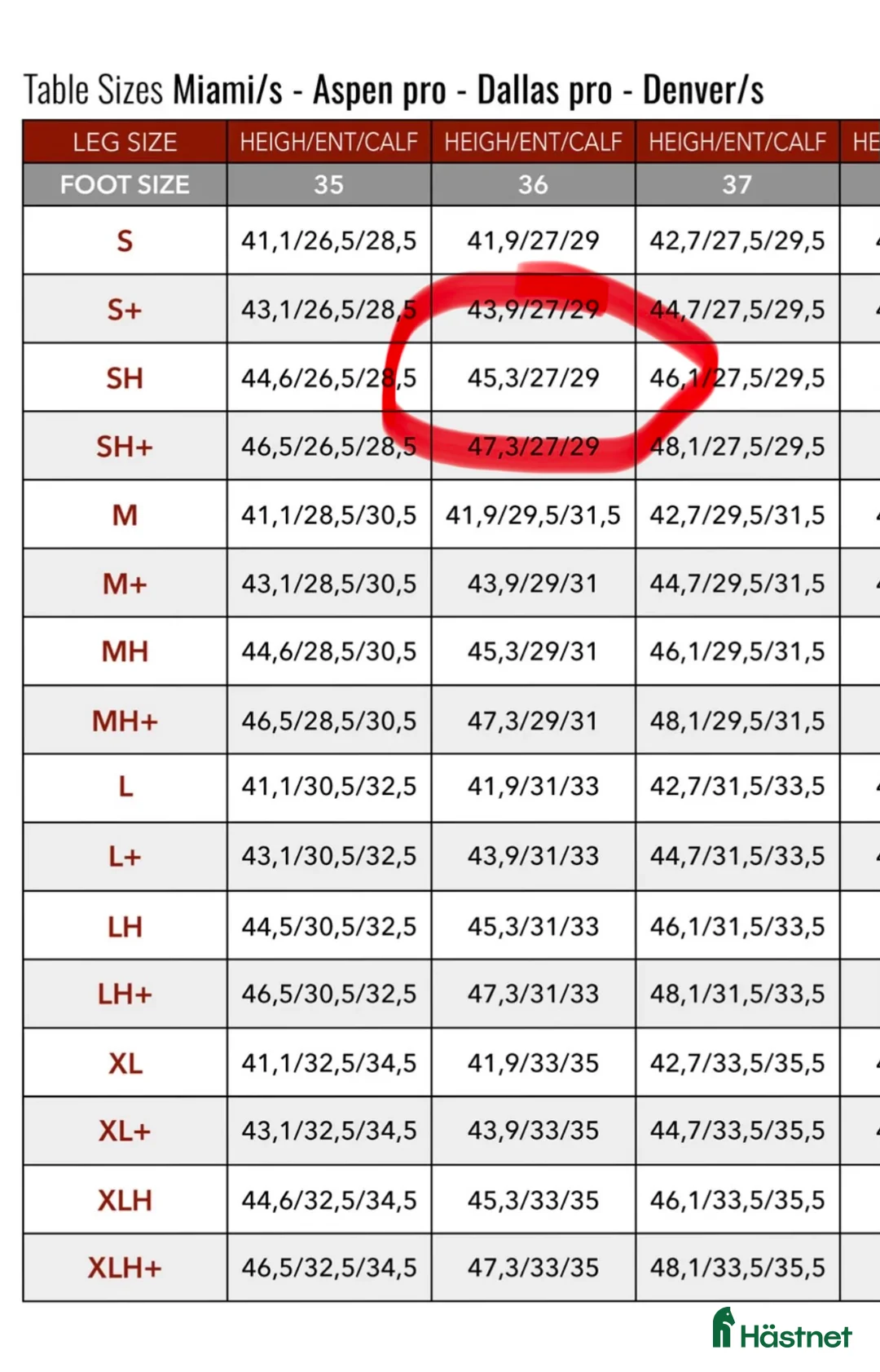 Ridstövlar ryttarutrustning till salu: Parlanti passion Miami  i Hammarstrand - Annons 3