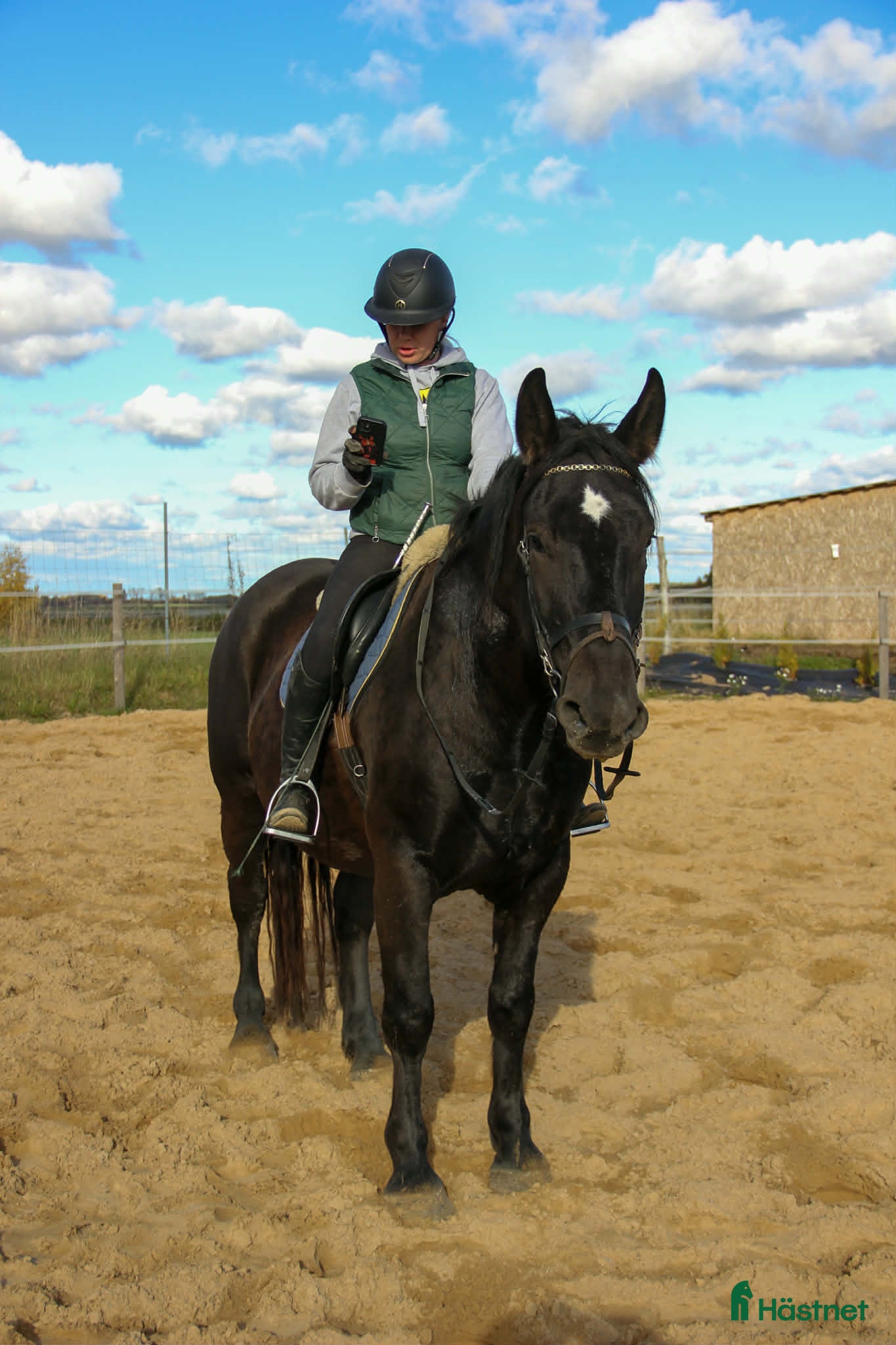  hästar Teddy bear for sale i Stockholm - Annons 2