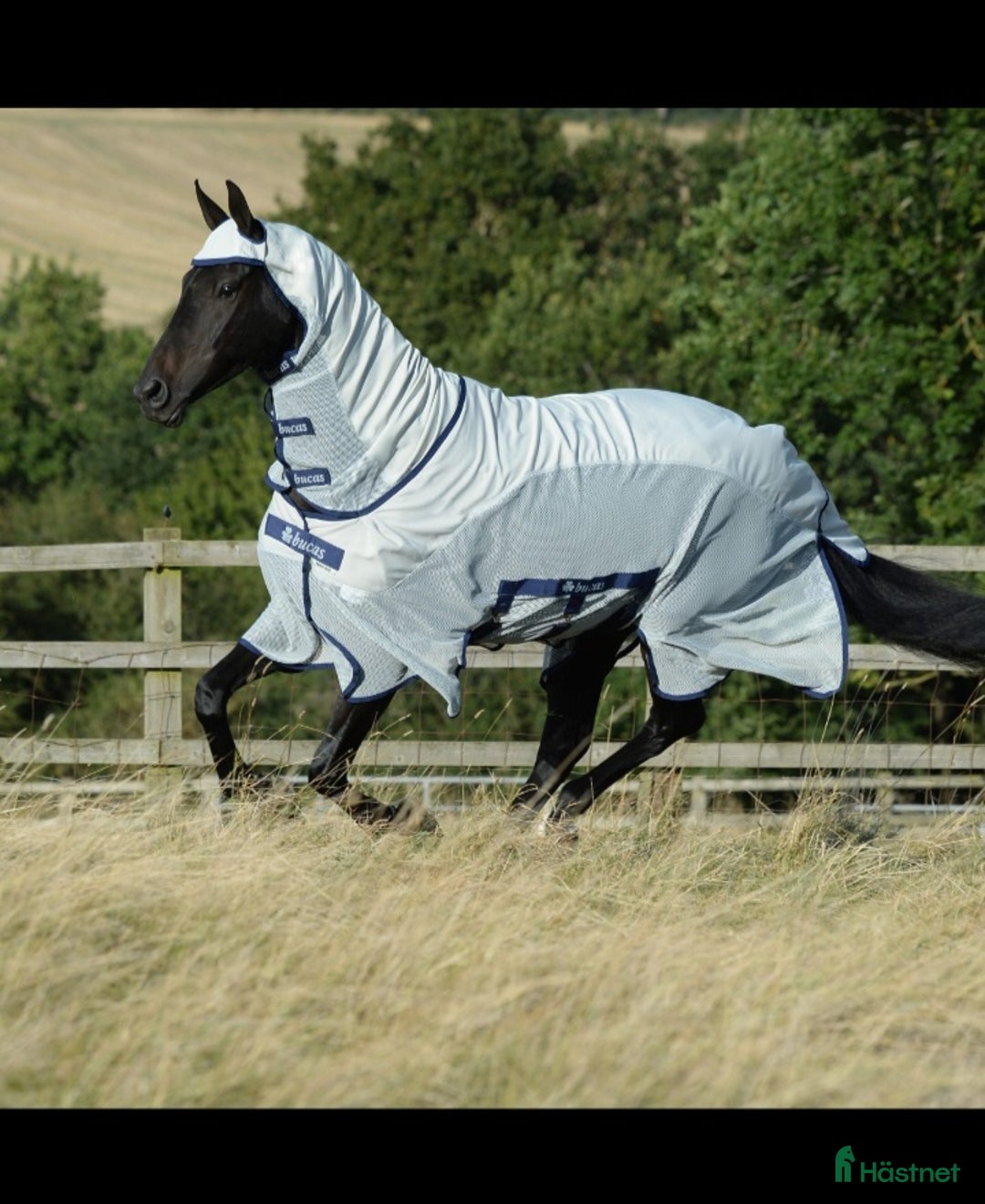 Täcken hästutrustning till salu: Bucas eksemtäcke  i Ödsmål - Annons 1
