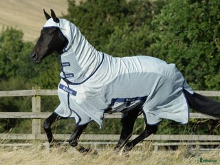 Täcken hästutrustning till salu: Bucas eksemtäcke i Ödsmål - Annons 1