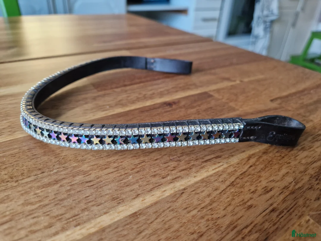 Övrig Hästutrustning hästutrustning till salu: Tre olika pannband i Mantorp - Annons 2