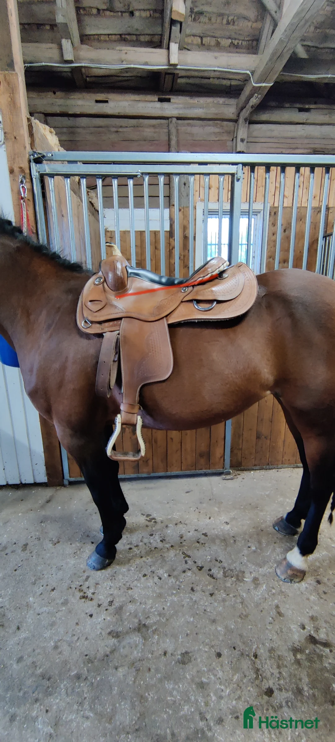 Sadlar hästutrustning till salu: Westernsadel  i Mönsterås - Annons 2