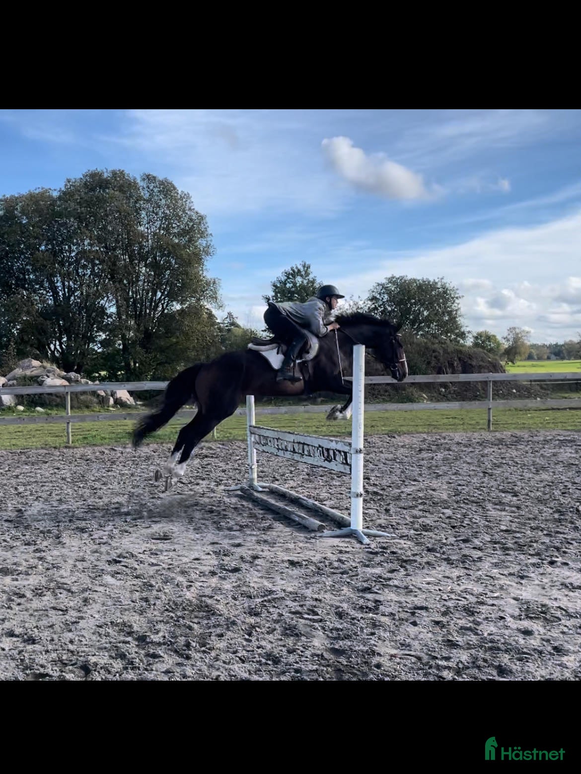  hästar Fantastisk gummiboll  i Skara - Annons 1