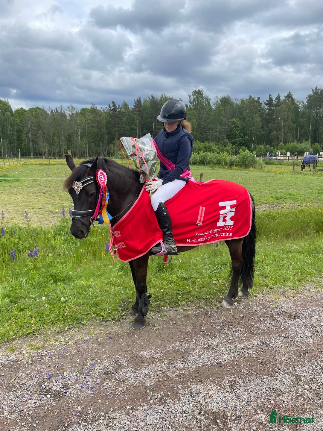 Hoppning hästar till salu: Perfekt allround ponny i Årjäng - Annons 5
