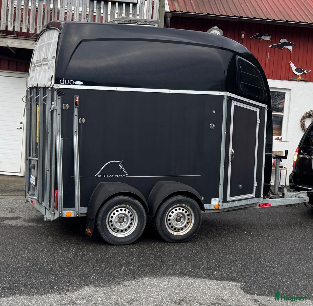 Hästtransporter  fordon & transport till salu: Böckman duo hästtransport 2014 i Torslanda - Annons 1
