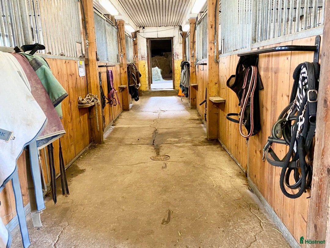  stallplats finnes: Stallplats Almunge 🌟 i Knutby - Annons 2