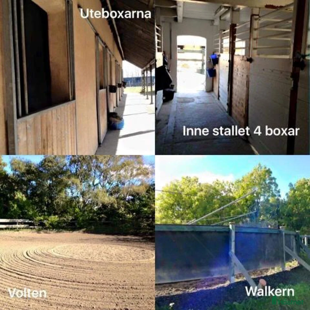  stallplats finnes: Stallplats Malmö  i Malmö - Annons 1