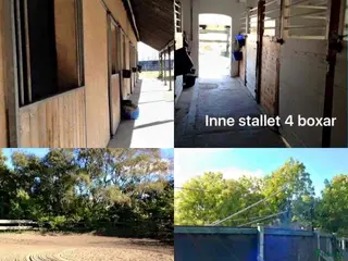 stallplats Stallplats Malmö i Malmö - Annons 7